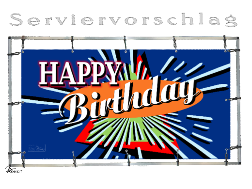 Plane/Banner HAPPY BIRTHDAY [GEBRAUCHT]