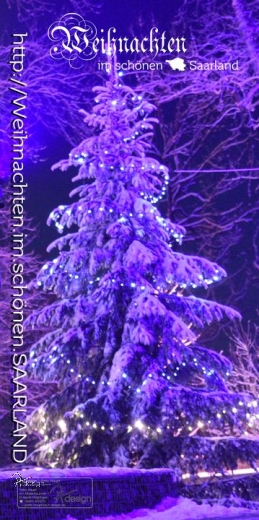 Plane/Banner WEIHNACHTSBAUM SCHAUMBERG
