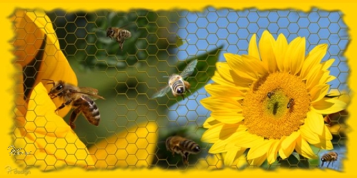 Tasse - "BIENEN"