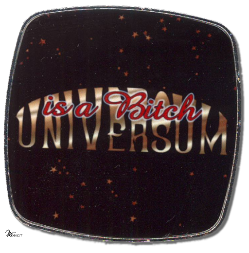 Deko-Magnet Metall Quadrat - "UNIVERSUM is a BITCH"