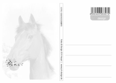Postkarte Gutes Pferd - Bses Pferd
