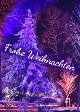 Ansichtskarte Schaumberg Weihnachtsbaum