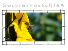 Plane/Banner Biene + Sonnenblume [GEBRAUCHT]