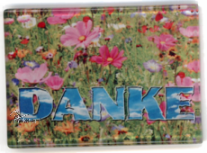 Deko-Magnet Glas -  DANKE