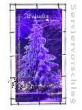 Plane/Banner WEIHNACHTSBAUM SCHAUMBERG