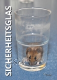 Postkarte "SICHERHEITSGLAS"
