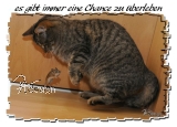 Postkarte "CHANCE"
