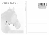 Postkarte Pferd "Alles Gute"