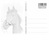 Postkarte "Gutes Pferd - Bses Pferd"