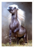 Postkarte Pferd "M?ne"