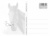 Postkarte "Pferd - ungeschminkt"
