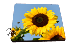 Mousepad "SONNENBLUME-2"