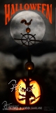 Plane/Banner HALLOWEEN