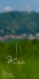 Plane/Banner �HREN + SCHAUMBERG