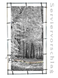 Plane/Banner HERBSTWALD [GEBRAUCHT]