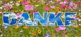 Danke