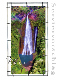 Plane/Banner WASSERFALL auf HAWAII