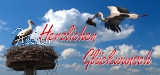 Glckwunsch - Strche