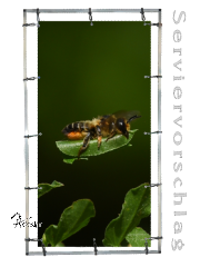 Plane/Banner BLATTSCHNEIDERBIENE [GEBRAUCHT]