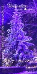 Plane/Banner WEIHNACHTSBAUM SCHAUMBERG