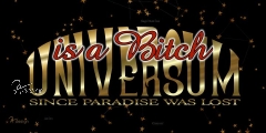 Plane/Banner UNIVERSUM is a BITCH