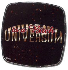 Deko-Magnet Metall Quadrat - "UNIVERSUM is a BITCH"