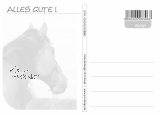 Postkarte Pferd Alles Gute
